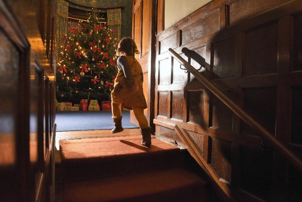 picture of a Child at Dunster Castle