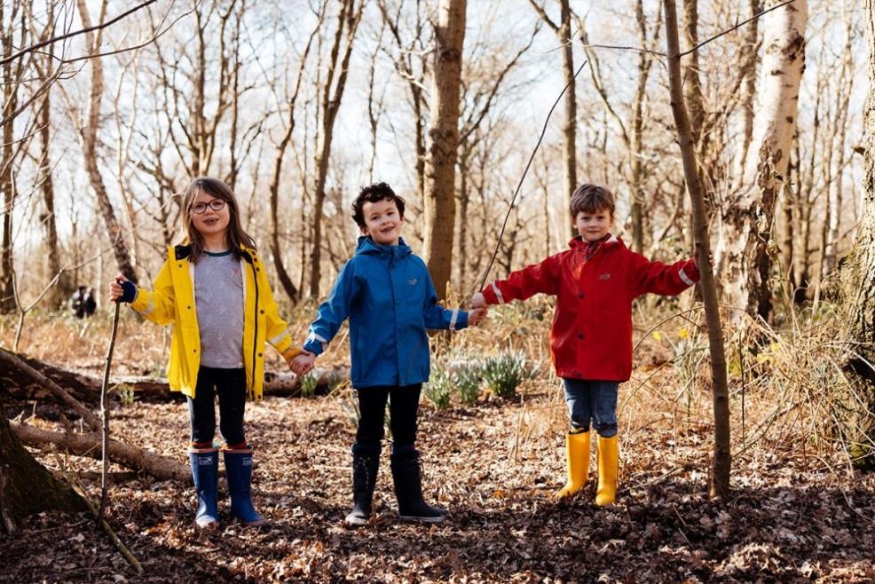 picture of children at a forest school