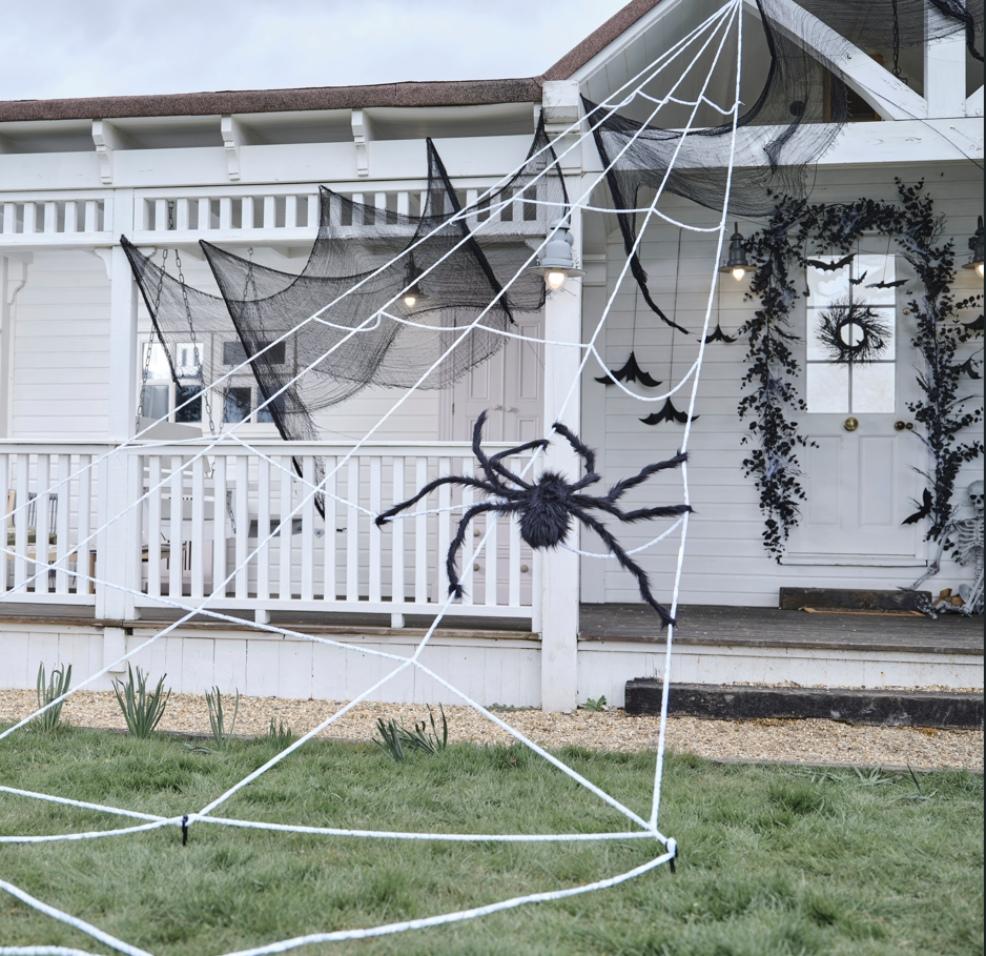 picture of Giant Halloween spider web decoration with large spider
