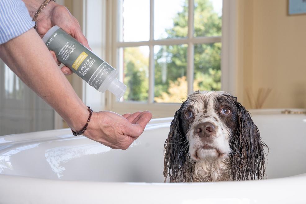 picture of Natural Dog Shampoo and Spritz