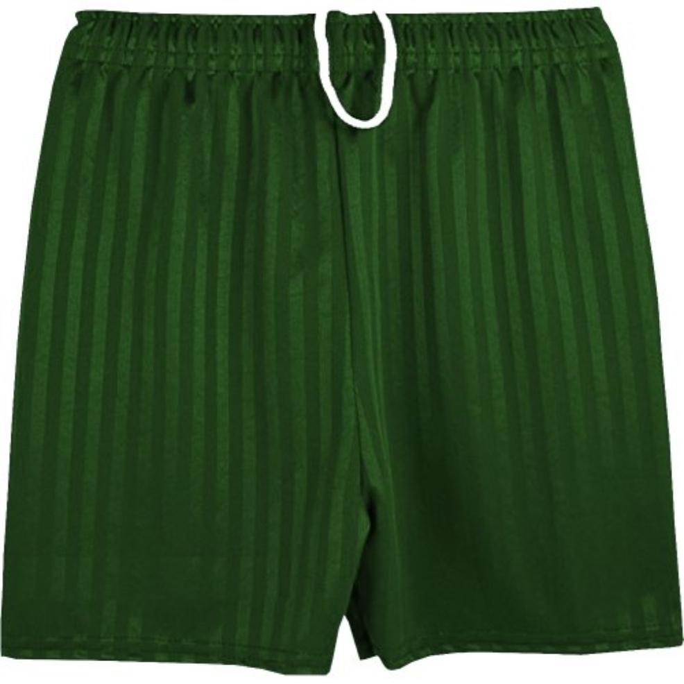 picture of green pe shorts