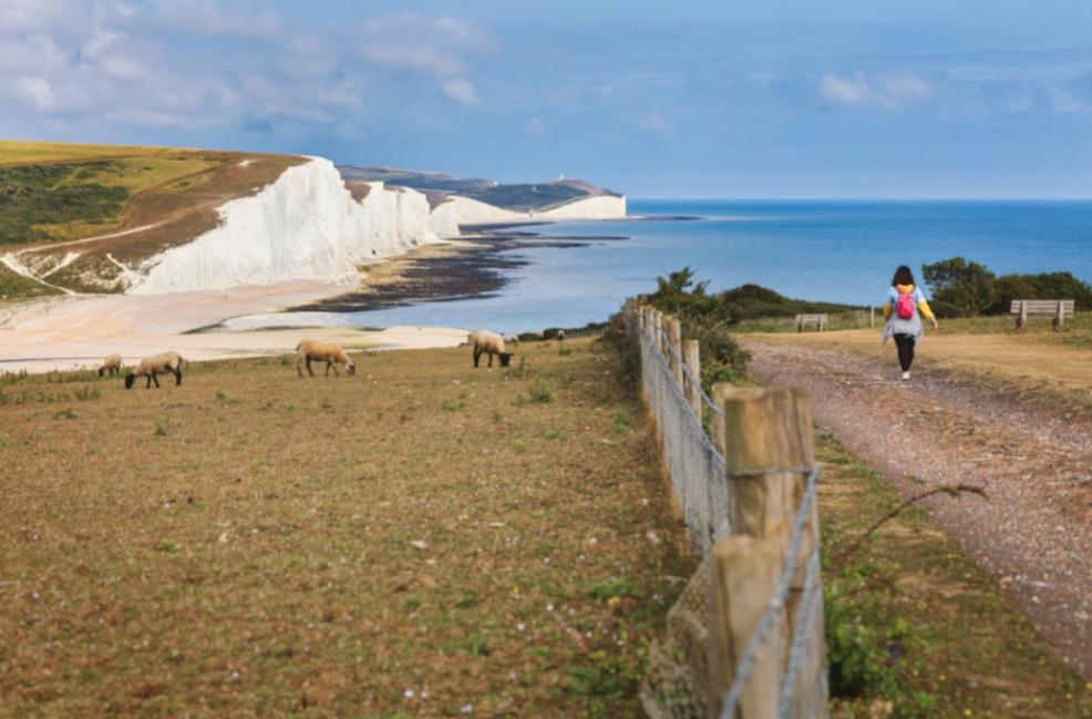 picture of Seven Sisters country park tall white chalk cliffs, East Sussex, UK