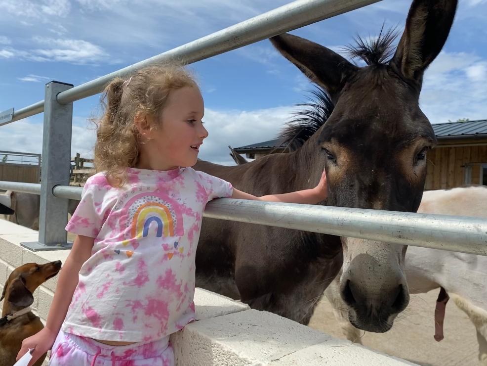 picture of a child at The Donkey Sanctuary Sidmouth