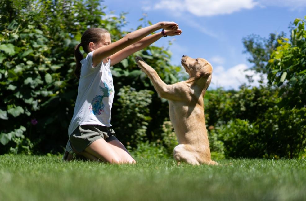 picture of a child in a garden training her dog