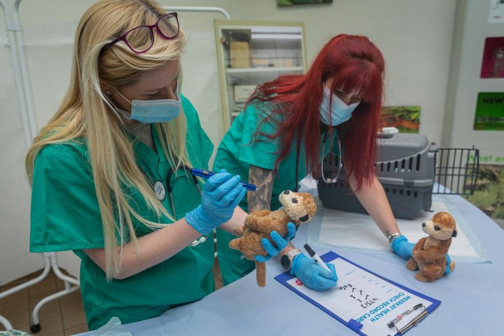 picture of Vets in Action ZSL