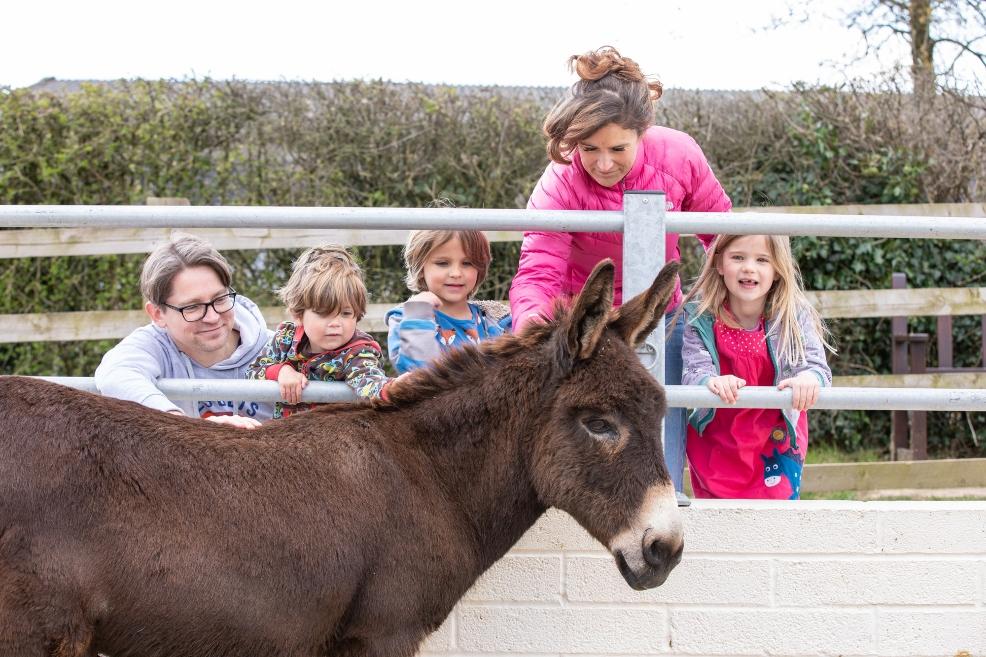 picture of Visitors at The Donkey Sanctuary Sidmouth
