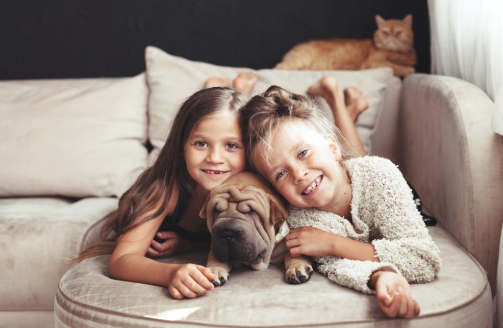 picture of children cuddling their dog on a sofa