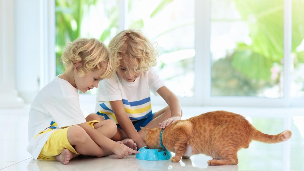 picture of children feeding a cat