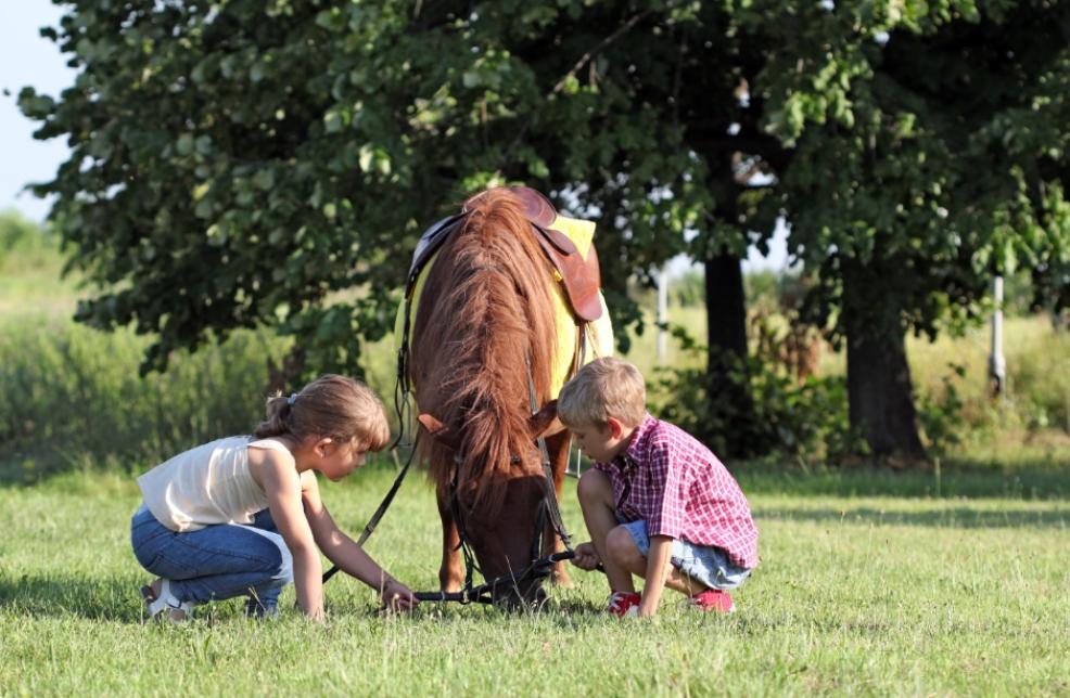 picture of children witha horse