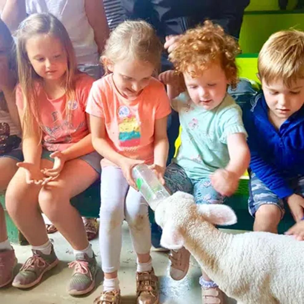 picture of children feeding a lamb