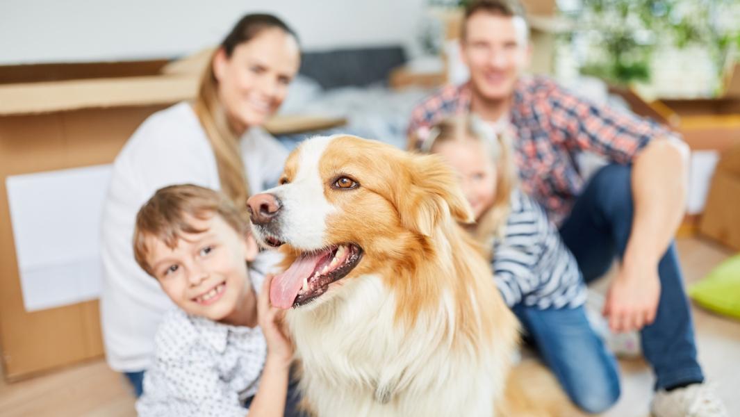picture of a family with their dog