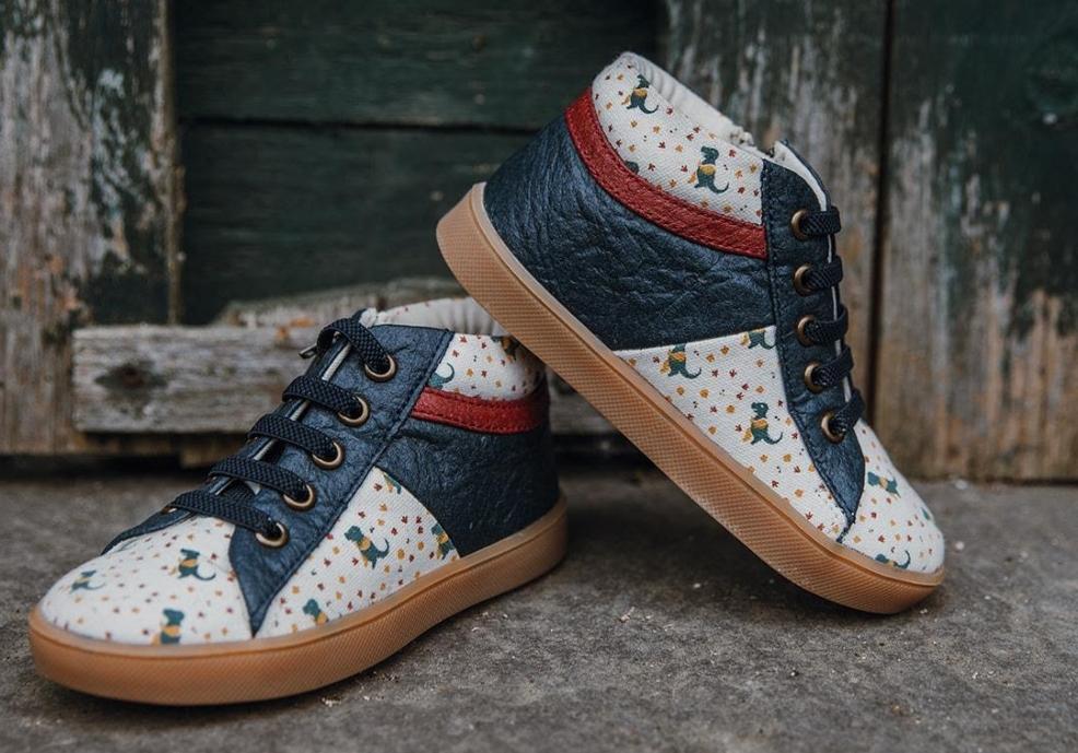 picture of dinosaur pip and henry shoes for children