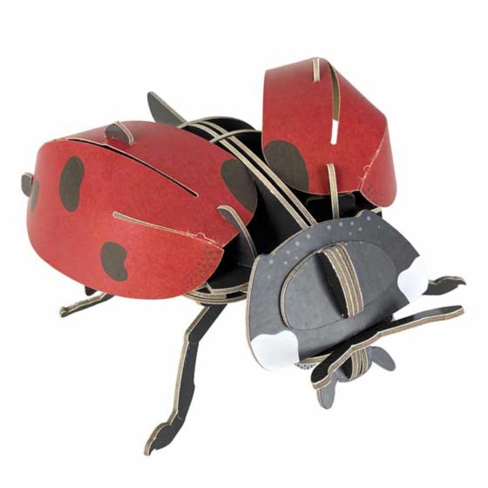 picture of Build Your Own Ladybird Model Kit