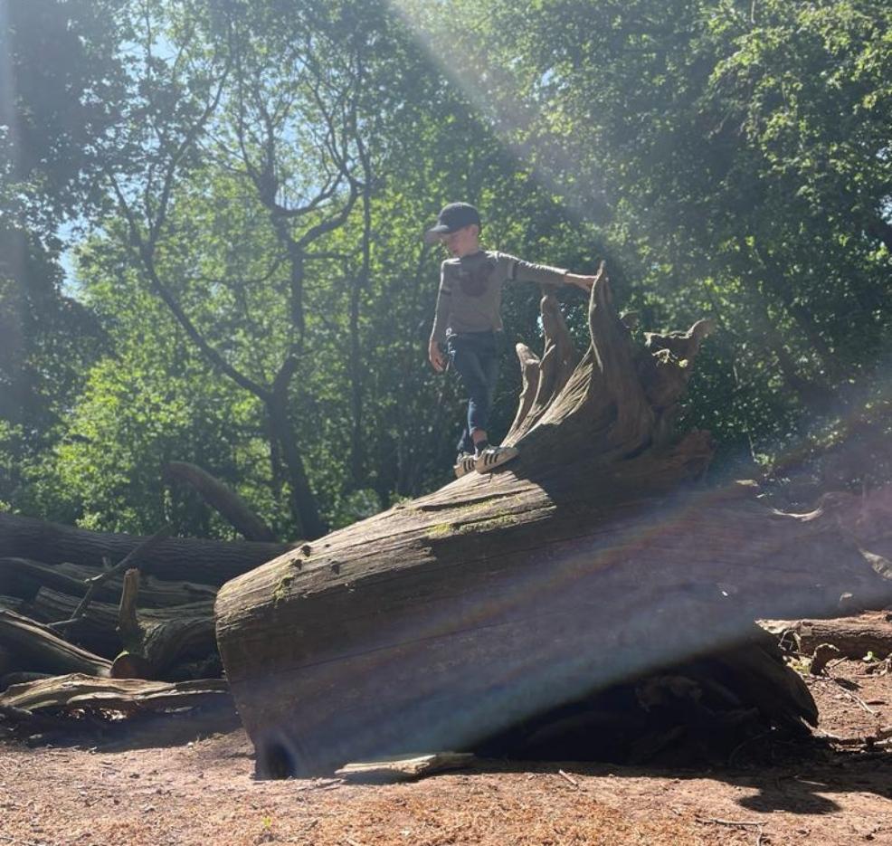 picture of a Boy standing on a tree stump