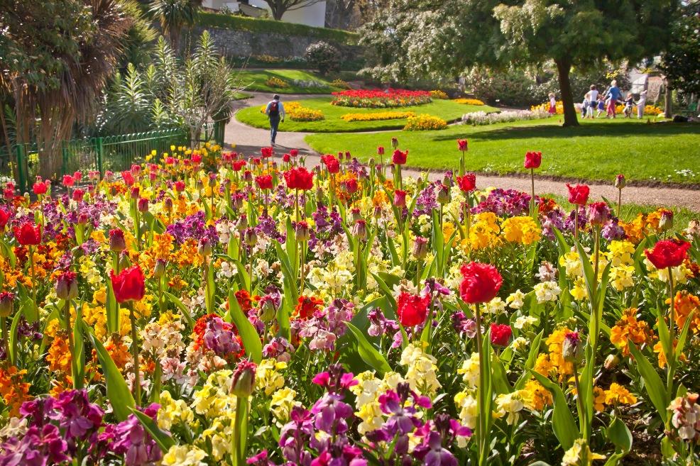 picture of Candie Gardens