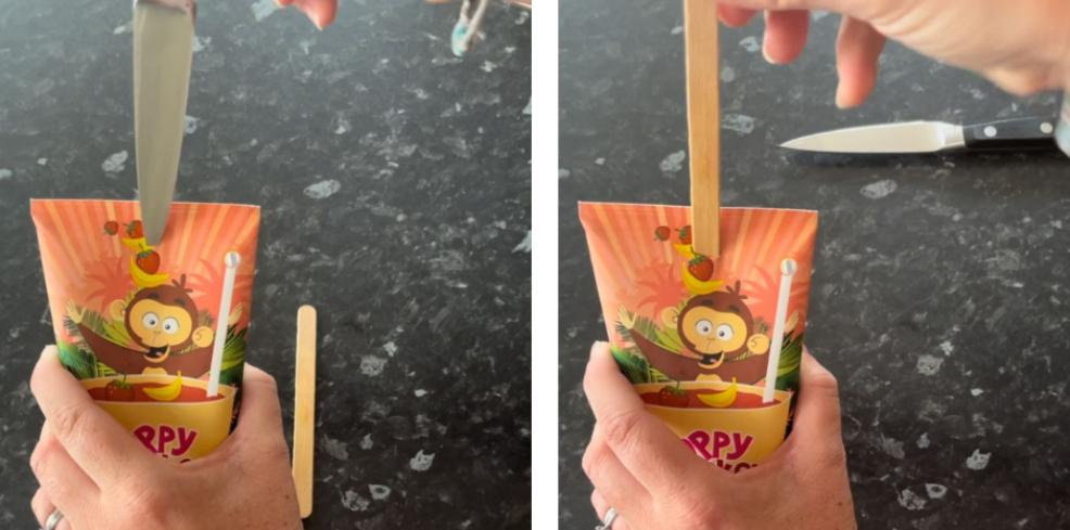 picture of someone making a smoothie ice lolly