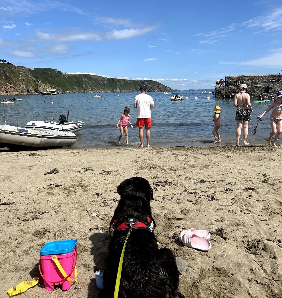 picture of a family and their dog on dog friendly Gorran haven Beach in Cornwall