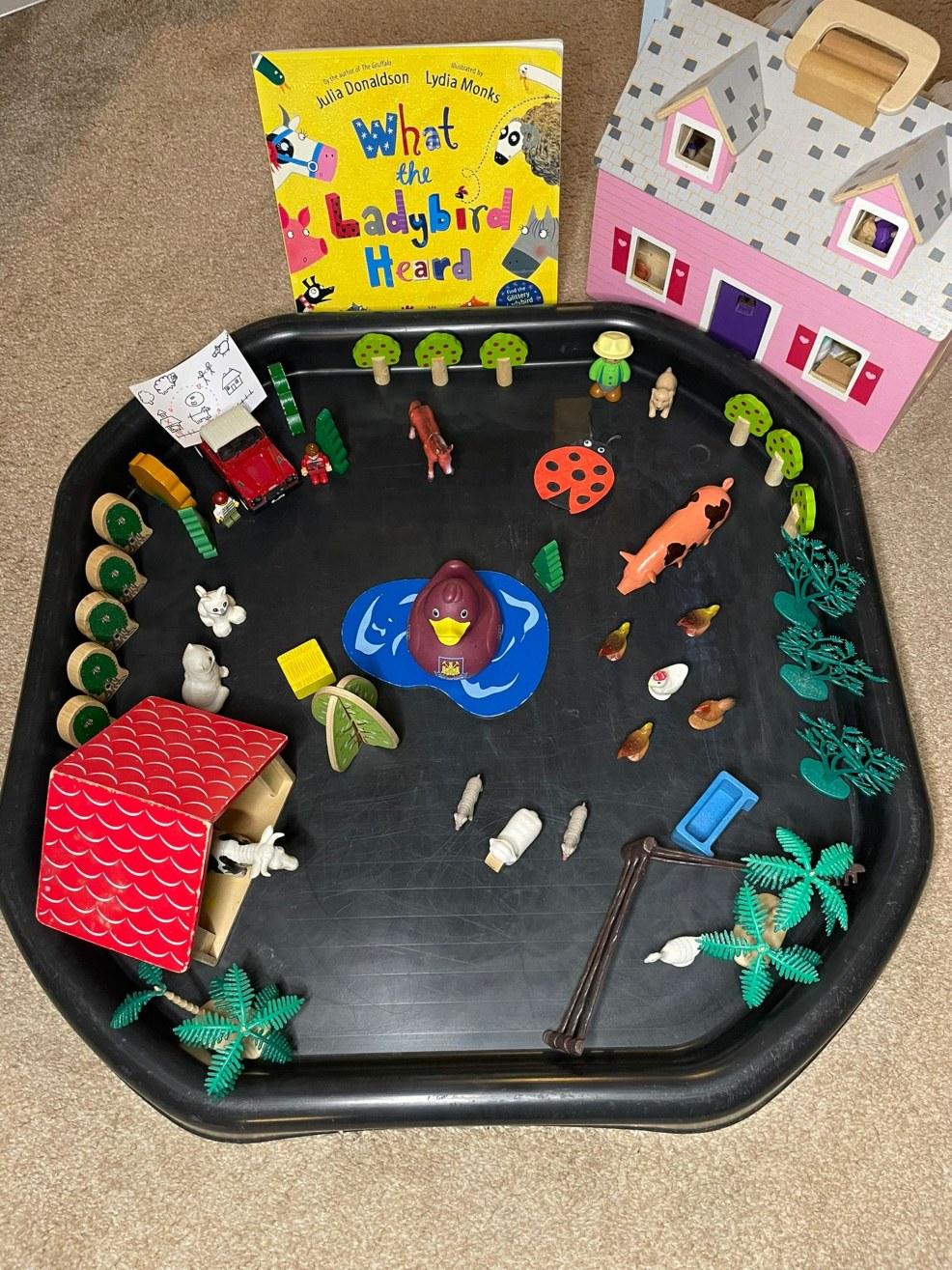 picture of What the Ladybird Heard tuff tray activity