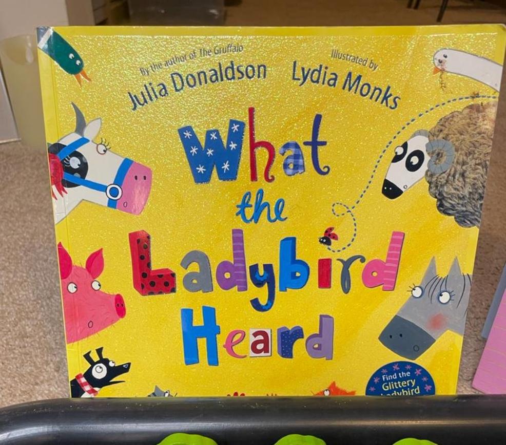 picture of What the Ladybird Heard tuff tray activity