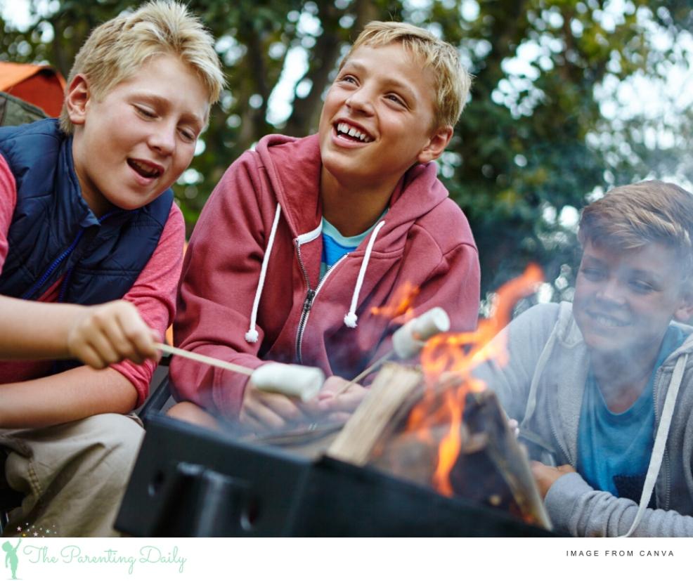 picture of boys toasting marshmallows over a campfire