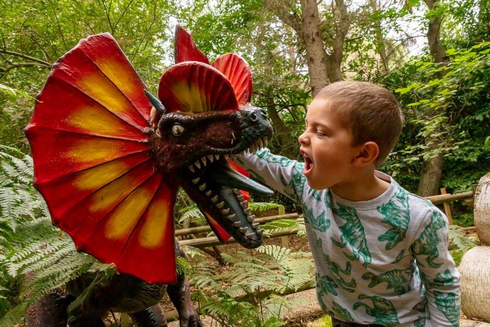 picture of a child at Dinosaur Adventure Park