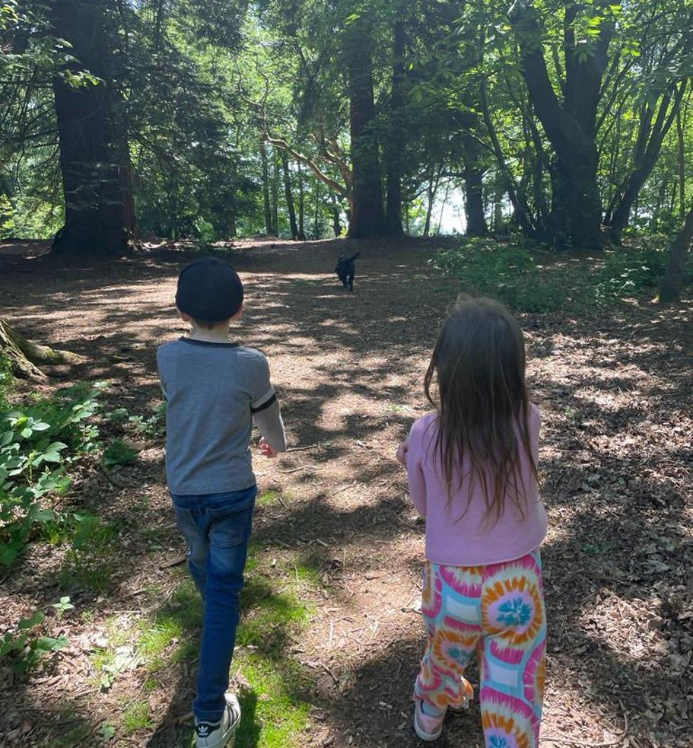 picture of children and dog walking in the woods