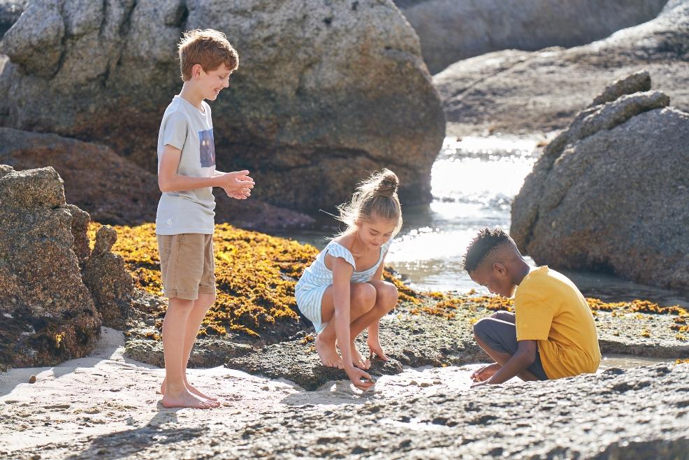 picture of children playing on a beach