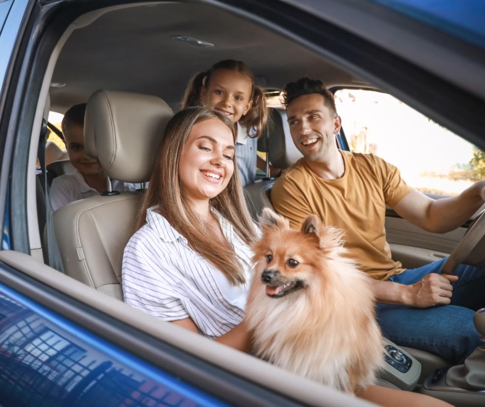 picture of a family in a car with their dog