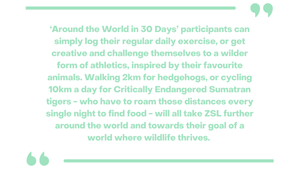 picture of text saying how to get involved in ZSLs Around the World in 30 Days campaign