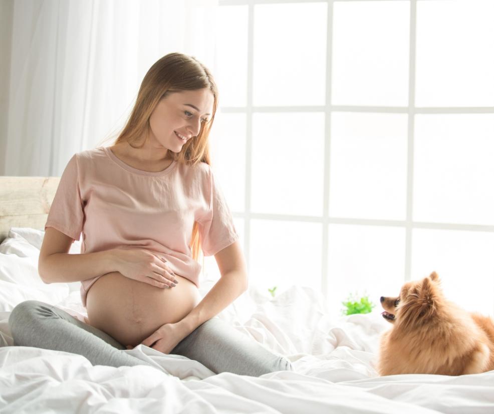 picture of a pregnant woman with her dog