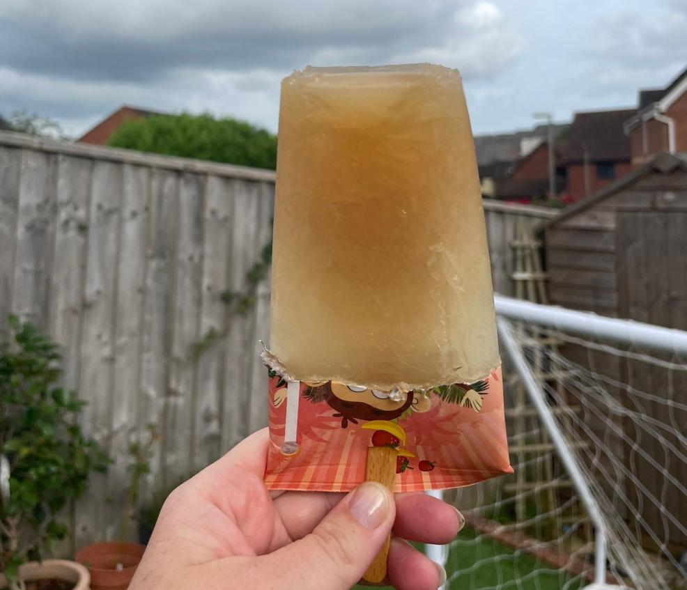 picture of a smoothie ice lolly