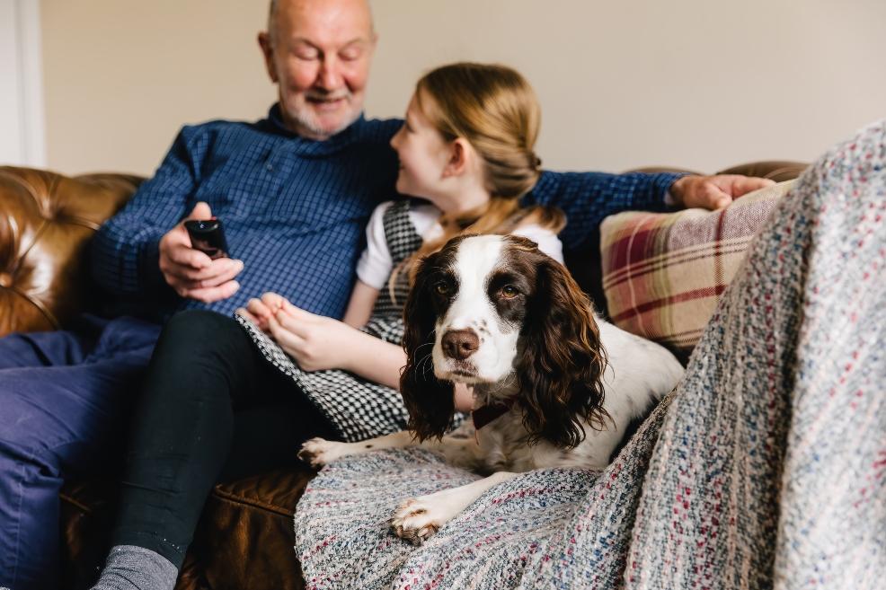 picture of a spaniel at home with family dogstrust