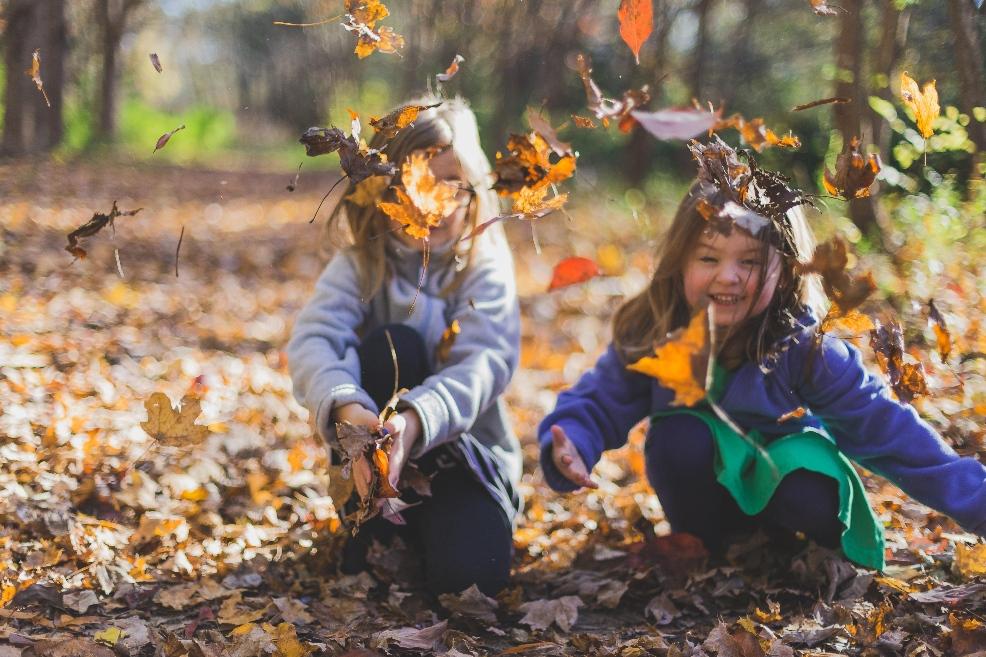 picture of children outdoors throwing leaves 