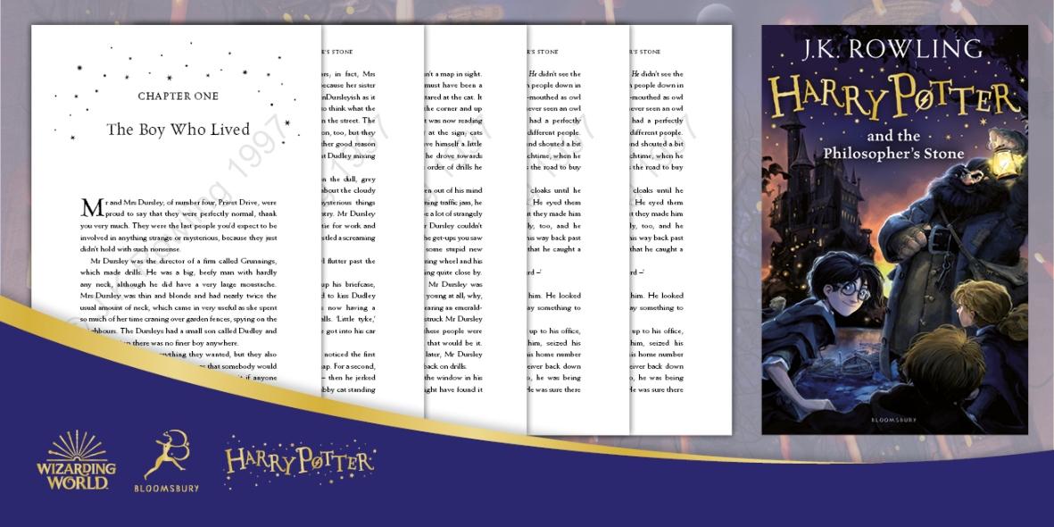 picture of twinkl harry potter resources