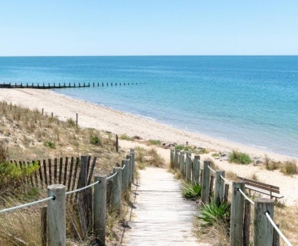 picture of a path down to a beautiful beach