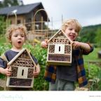 children making a bug hotel picture of children making a bug hotel