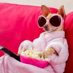 picture of a dog watching tv with sunglasses and a dressing gown with popcorn on a pink sofa