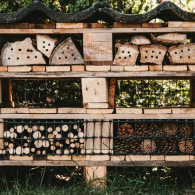 Picture of a bug hotel