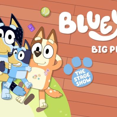 picture of Blueys big play poster
