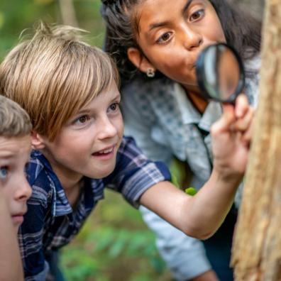picture of children at a forest school