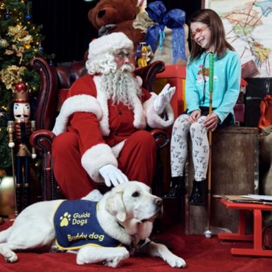 picture of Guide dogs Christmas grotto