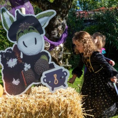 picture of Haunted Hay Bales Halloween Trail at The Donkey Sanctuary