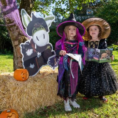 picture of Hide and Treat Halloween Hunt at The Donkey Sanctuary