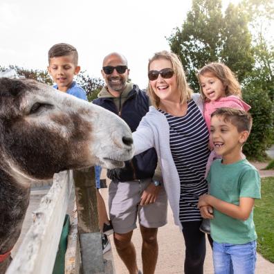 picture of a family at The Donkey Sanctuary Sidmouth