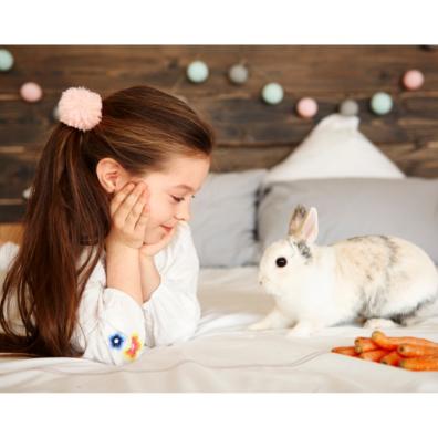 A picture of a child with her pet rabbit