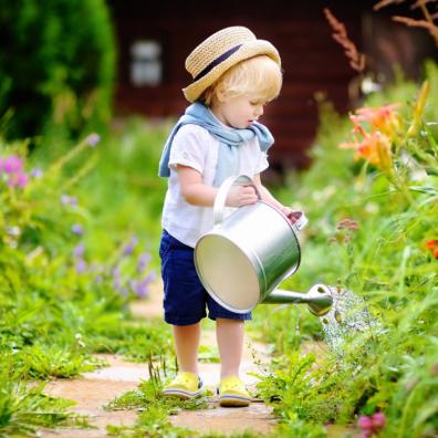 Picture of a small child watering some plants in a garden
