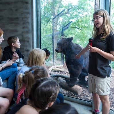 picture of children looking at bears at bear wood at the wild place project