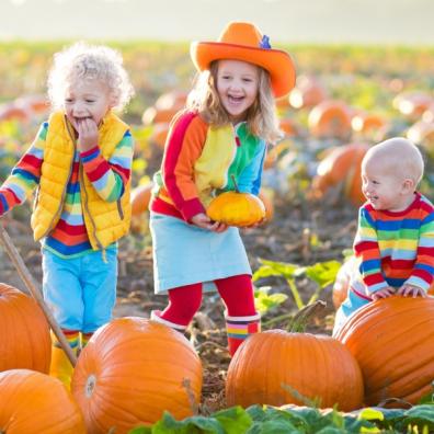 picture of children pumpkin picking