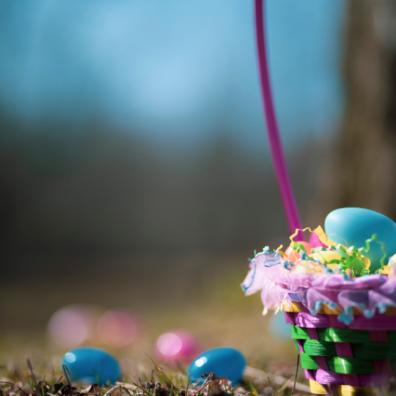 picture of an easter egg hunt