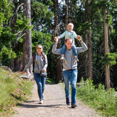 picture of a family walking in the woods